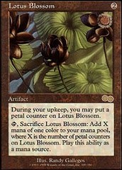 Lotus Blossom