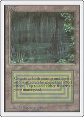 Bayou