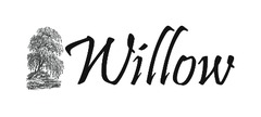 Willow