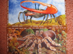 Things That Crawl