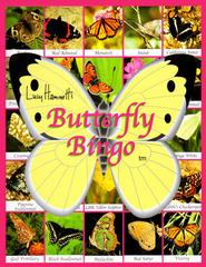 Butterfly Bingo