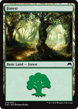 Forest (270