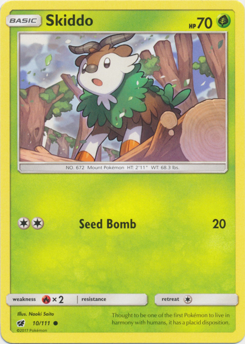 Pkm_smci_10