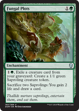 Fungal Plots