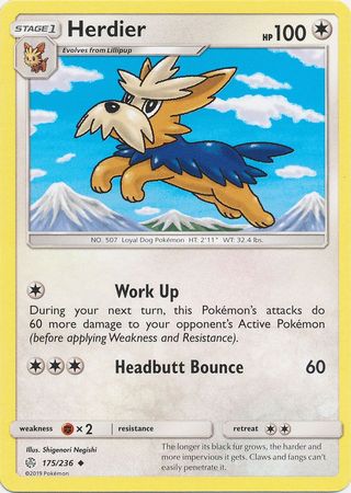 Herdier - 175/236 Uncommon
