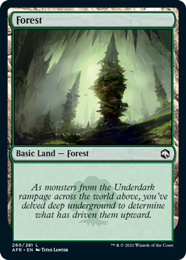 Forest (280