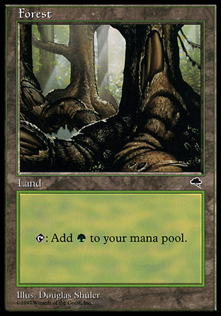 Forest (309)