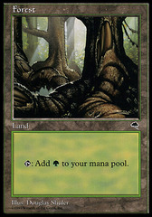 Forest (309)